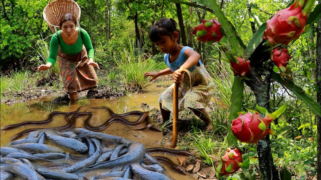 Catch a lot ell and many fish in flood forest- Mother cooking ell spicy ...