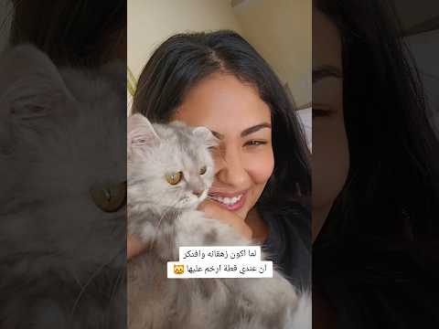 حب بالعافية ديزني بالعربي Disney قطط Cat Catvideos Trendingshorts Up Catlover Cartoon