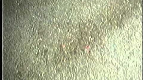 C0212SC_Tape07o.noaudio.mpg