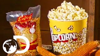 POPCORN | How It's Made