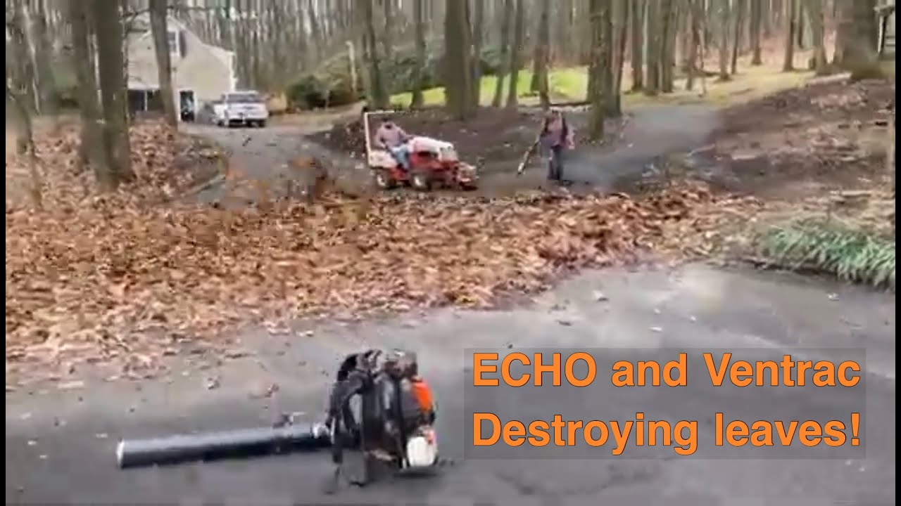 Massive Leaf Cleanup! (ECHO PB 8010 and Ventrac!)