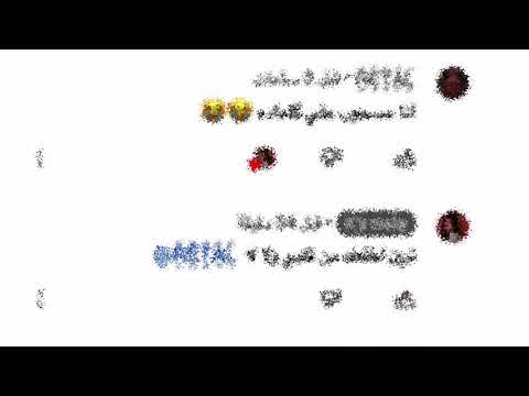قالوا لي نيران بقلبك
