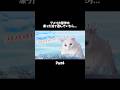 Part4 アメリカ留学中凍った池で遊んでいたら…#shorts