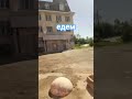 едем