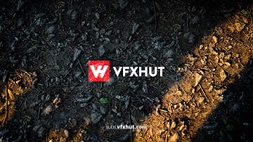 VFX Hut - Subscribers Asset Library (2023)