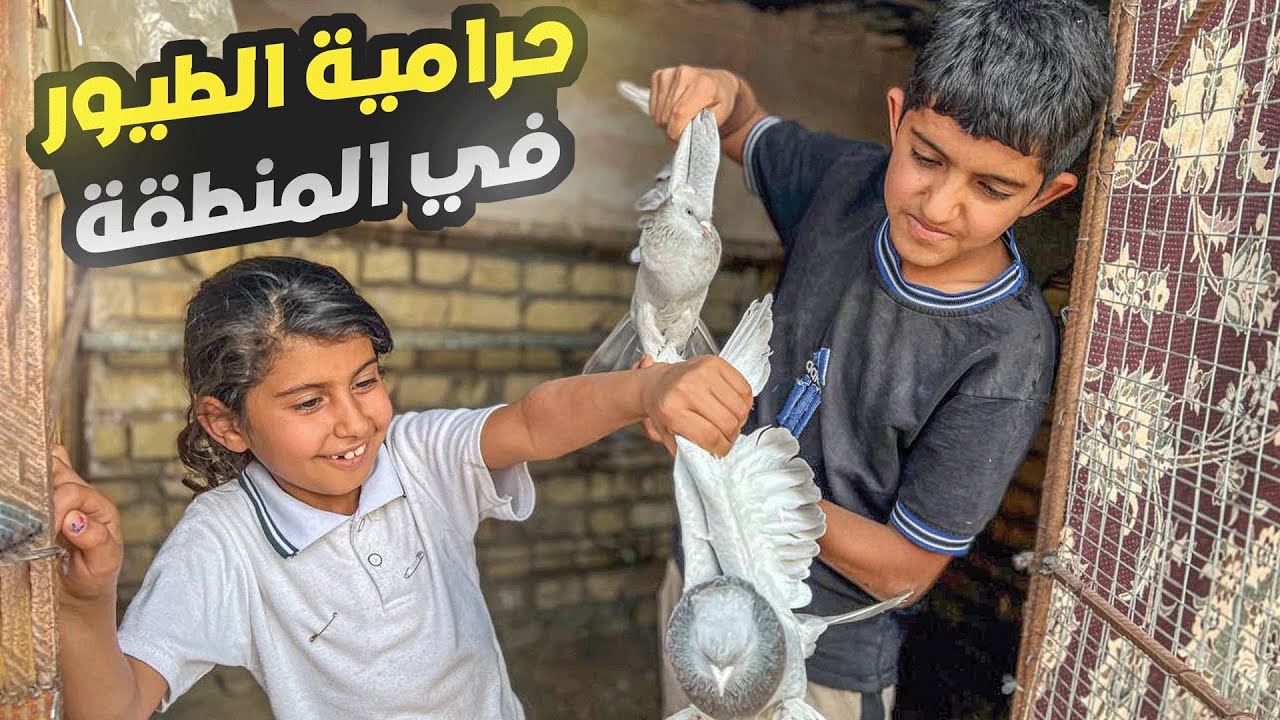 فلم اقوى حرامي طيور في المنطقة