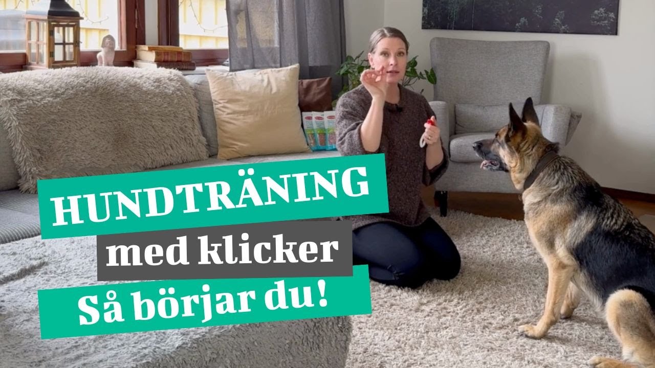 Hundträning med klicker