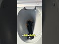 Testing Toilet Suction Power #Frost Proof Self Suction Toilet #Negative Pressure Self Suction Frost