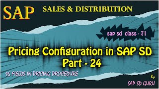 16 fields in Pricing Procedure |sixteen fields |Fields in Pricing Procedure #step #counter #subtotal