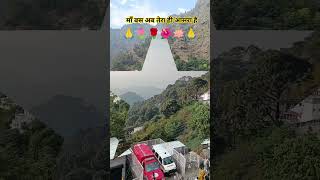 जय माता दी 🙏🌺#shorts #vaishnodevi #viral #shortsfeed #navratri #bhakti #youtube #jaimatadi #katra