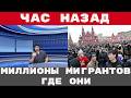 Десятки миллионов мигрантов замурованы в стены | Crime Show
