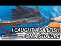 I caught a sailfish on a 10 lure