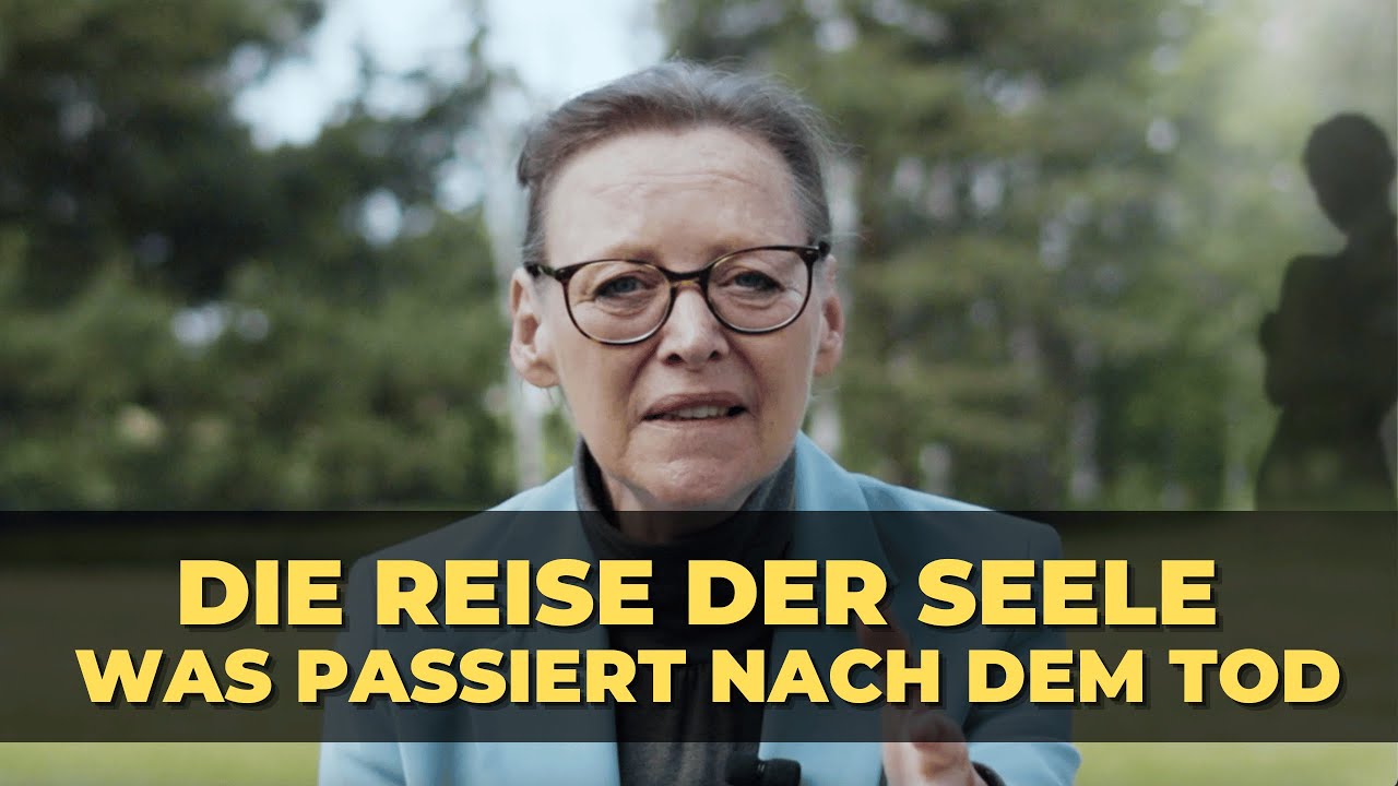 Was Passiert Mit Der Tierseele Nach Dem Tod www.youtube.com