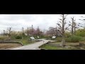 滋賀 水生植物公園みずの森　春の花 の動画、YouTube動画。