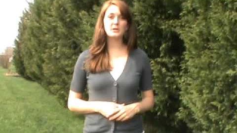 What does scratch the surface mean?