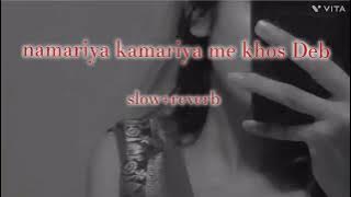 namariya kamariya me khos Deb slow reverb|| #bhojpurilofisong
