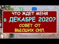 ЧТО ЖДЕТ МЕНЯ В ДЕКАБРЕ 2020? СОВЕТ ОТ ВЫСШИХ СИЛ. Таро Онлайн Расклад Diamond Dream Tarot