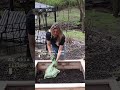 How I Save Money When Filling My Raised Beds