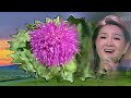 草原天籁 降央卓玛演唱 守望草原 声音浑厚优美 令人陶醉 草原天籁 降央卓玛演唱 守望草原 声音浑厚优美 令人陶醉