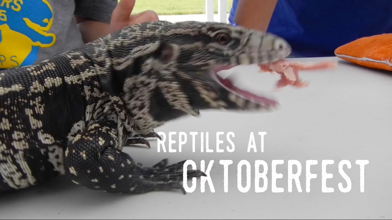 petco hours Lizards, Snakes, Polka, and Beer! | OKTOBERFEST Reptile Table