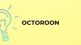 What is the meaning of the word OCTOROON
