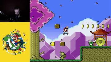 Mario Rescues Summer (SMW Hack)