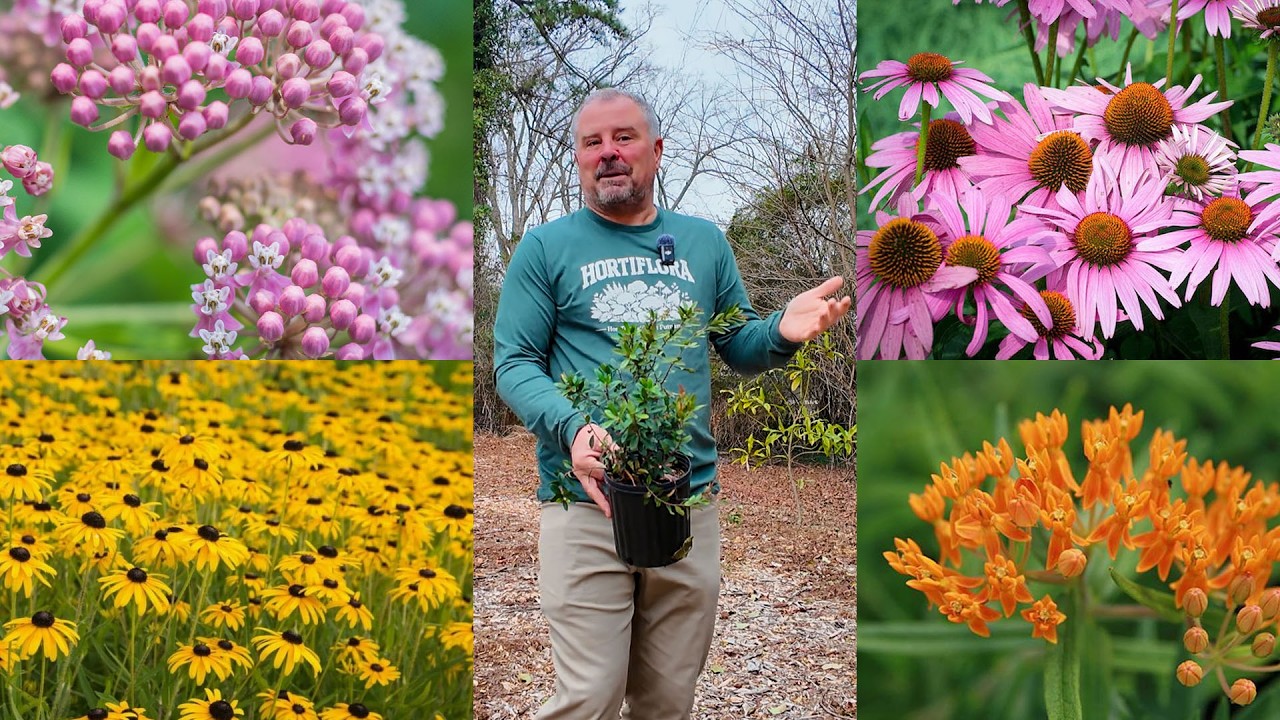We're Excited to Finally Jump into the Native Garden
