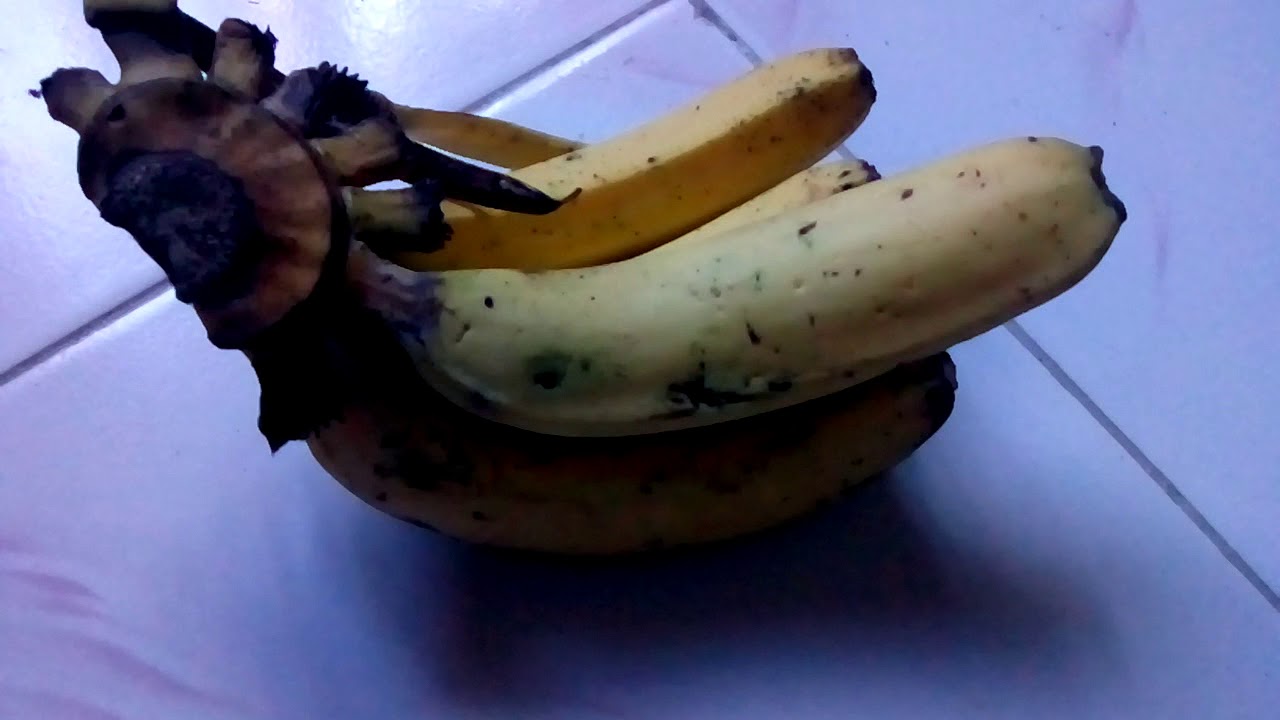 Khasiat buah pisang 