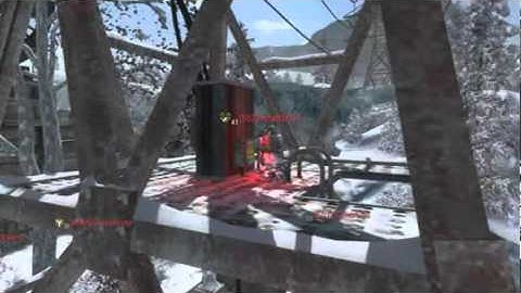 Black Ops: Collateral on Array