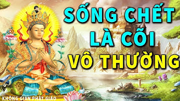 Sống Chết Là Vô Thường Sao Vẫn Còn Sầu Vương - Nghe 1 Lần Tiêu Tan Phiền Não Khổ Đau An Vui Cả Đời