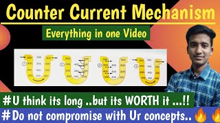 Counter Current Mechanism ||Concentration of Urine || Renal Physiology || hindi || Ashish Agrawal