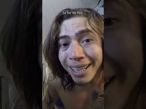 GATO TEM DIÁLOGO