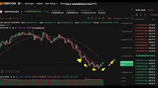 updates LIVE Baby Doge Coin BABYDOGE Price - LIVE BABYDOGE  NEWS - BABYDOGE Price Chart