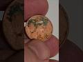 Powerful Acid!!🫠😲 This penny is cleaning up. #1979 #ketchup #numismatics #lincolncent #coincleaning