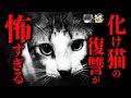 【ゆっくり怖話】『化け猫』の恨みをかった者の悲惨な末路...『猫飢餓渇・夜行堂奇譚シリーズ』