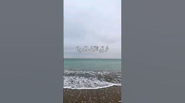 سورة المؤمنين 💚 تلاوة هادئة ومؤثر وطمأنينة/ياسر الدوسري #تلاوة_خاشعة_تريح_القلب_والعقل