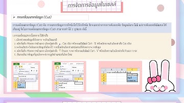 การใช้งานโปรแกรม Microsoft Office Excel 2010
