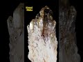 Natural Kundalani Citrine Crystal Cluster.  #mineral #crystals #gemstone