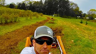 Blueberry Farm Work and a Nice Rock