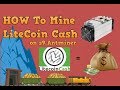 LiteCoin Cash Mining on S9 antminer