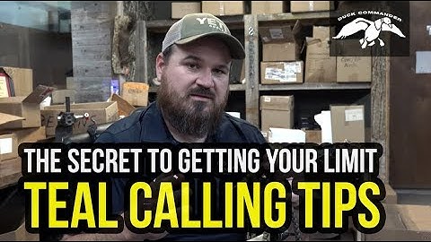 Teal Calling Tips - Learn how to COMMAND the Ducks