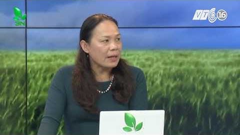 Ao nuôi cá đã xử lý vôi nhưng vẫn nổi váng và bọt