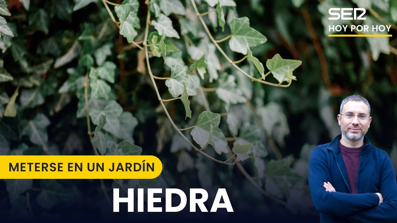 🌱 Un JARDÍN NUNCA se TERMINA | Meterse en un jardín