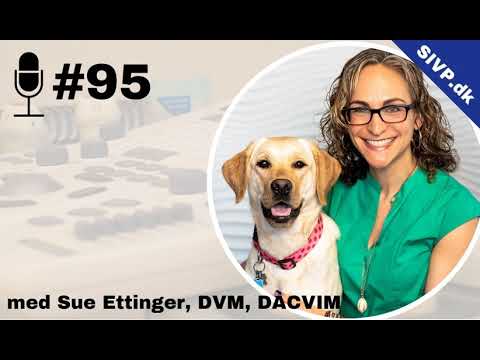 Hæmangiosarkom hos hund med Sue Ettinger