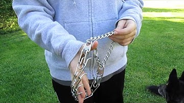 Intro to Prong Collars Pt.1