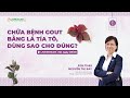 Chữa bệnh gout bằng lá tía tô, dùng sao cho đúng? | Video AloBacsi