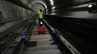 Automated Scanning & Detection System MS100.