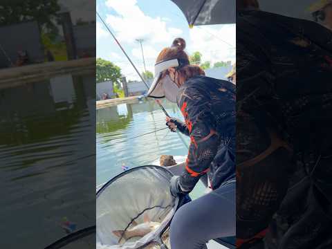 Đi câu cá cùng 40 mấy anh em cần thủ #vyhanfishing #cauca #fishing #câucá