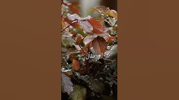 ووهبنا لداود سليمان نعم العبد انه اواب تلاوة خاشعة للقارى سلمان العتيبي سورة ص {٣٠-٣٢}#القرآن_الكريم
