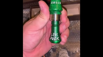 Jargon Live Duck Call! (Mallard duck)
